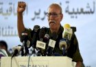 بعد محاكمته بإسبانيا.. من هو إبراهيم غالي زعيم جبهة البوليساريو؟