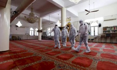 فَشَل مُخطَّطاتِ