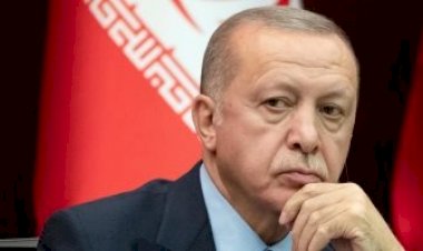 وثائق سرية تكشف تستر أردوغان على تهديد واعتداء حاكم