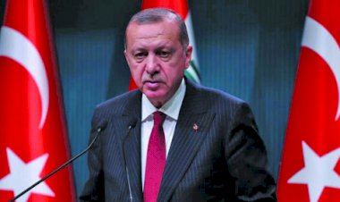 بعد إفراج أردوغان عن المجرمين.. معدلات الجريمة ترتفع في تركيا