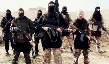 ماذا وراء ظهور 