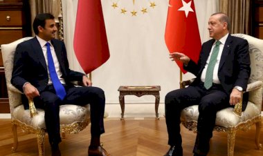 عميل لتركيا وقطر.. المرأة الحديدية بتونس تكشف إرهاب الغنوشي