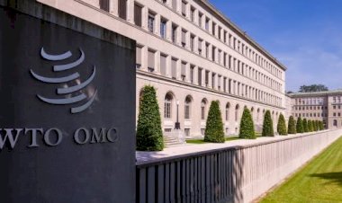 الشرق الأوسط: حكم التجارة العالمية يُدين قطر بالإرهاب ولا يبرئها