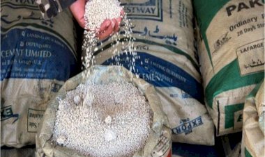 الداخلية الألمانية: حزب الله خزَّن مواد متفجرة في ألمانيا عام 2016