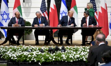 كيف استطاعت 