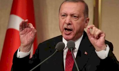زيارات متكررة وجواسيس.. ماذا يريد أردوغان من إفريقيا