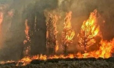 سوريا تحترق.. النيران تلتهم المنازل والأراضي والنظام