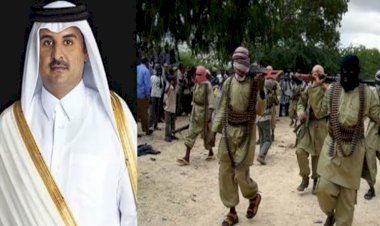 أموال هائلة واستطلاعات مفبركة.. هكذا تسعى 