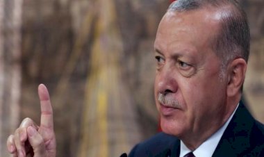 أردوغان يجرم الاحتفال بالمولد النبوي ويعتقل المحتفلين