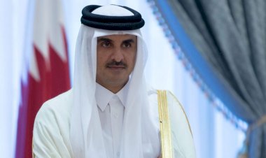 هربا من المشاكل أم رعاية لمصالح تركيا في قطر.. لماذا اختار الأمير تميم صهر أردوغان مستشارا اقتصاديا؟
