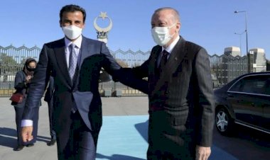 فريد حافظ أداة تركيا وقطر لإنقاذ الإخوان في النمسا