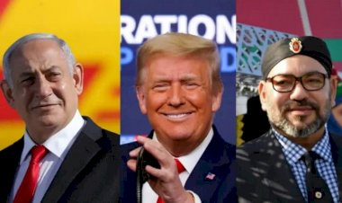 قطار السلام مع إسرائيل يصل المغرب وجهود إماراتية لدعم القضية الفلسطينية