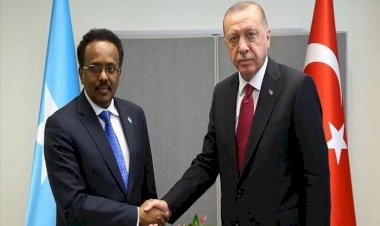 مكالمة سرية بين أردوغان وفرماجو لإرسال مرتزقة إلى الصومال
