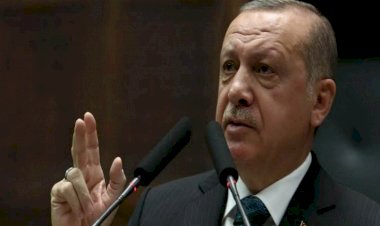 الأمم المتحدة تكشف انتهاكات رجال أردوغان للاتفاقيات الدولية