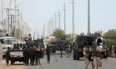 قبائل الصومال ترفض اتهامات وزير الإعلام وتعتذر للإمارات