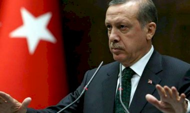 النائب التركي 