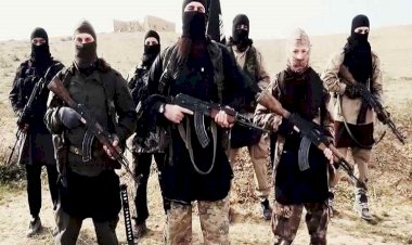 خبراء: ميليشيا الحوثي لا تقل إجرامًا عن