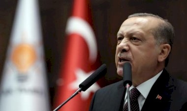 عبر ليبيا والإرهاب.. كيف يُخطط أردوغان لفرض مشروع الإخوان في إفريقيا؟