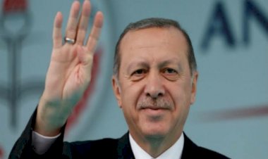 تركيا تسعى للتوغل بالجزائر.. ما علاقة الإخوان وحركة رشاد؟