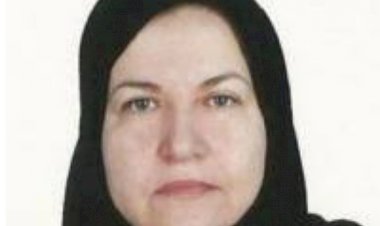 صاروخ إيران المزعوم