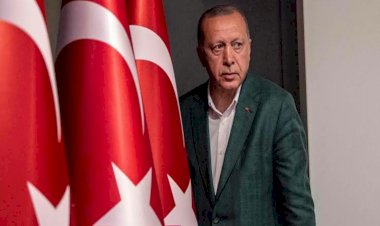 الفرصة الأخيرة.. هل تنجح محاولات أردوغان في استرضاء مصر والسعودية؟