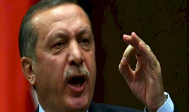 المونيتور: أردوغان يواصل استهداف أتباع غولن بالجيش التركي