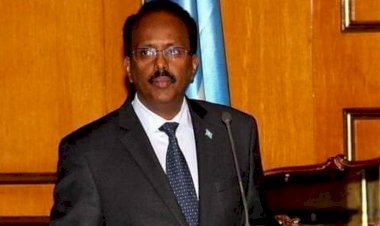 بدائل فرماجو..  بعد رضوخ الرئيس الصومالي ما مخططه الجديد؟