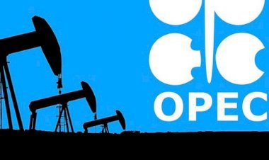 مختص بالشأن الاقتصادي: اتفاق أوبك جائر وغير عادل للإمارات