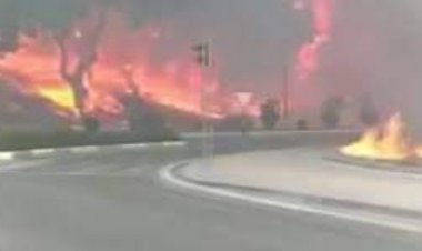 ليس تقصيرًا بل عمدًا .. لماذا تحترق تركيا في عهد أردوغان؟