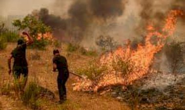 لخداع الشعب.. السلطات التركيه تمنع وسائل الإعلام من نشر أخبار الحرائق