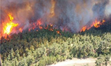 أزمات أردوغان تتفاقم.. الحرائق تبدد آمال انتعاش السياحة في تركيا