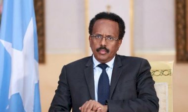 الانتخابات الصومالية.. صيف ساخن بمقديشو يشعله تزوير فرماجو