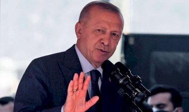 تركيا 24: أنقرة تنقل عائلات زعيم طالبان إلى منازل فاخرة مقابل عمليات إرهابية