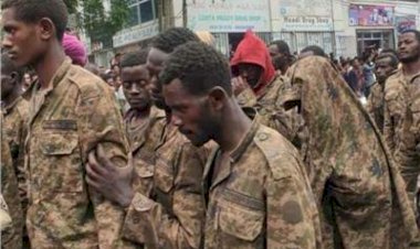 هروب ضباط الجيش الاثيوبي إلى السودان.. هزيمة ام خيانة؟