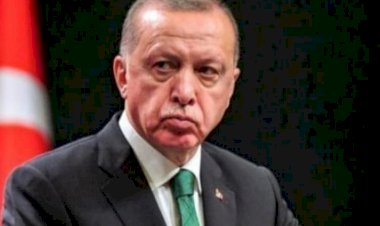 أنقرة تواصل دعمها للإرهاب في سوريا.. خبراء:  قوات أردوغان خطر يهدد أراضينا