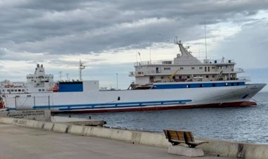 الأمم المتحدة تحقق في ارتباط سفينة تركية بحركة الشباب الإرهابية في الصومال