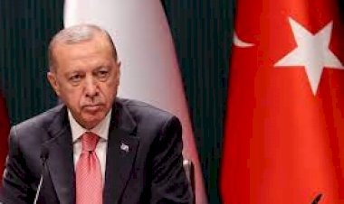 أردوغان يواصل حملة شرسة لمعاقبة المنظمات غير الحكومية في الأمم المتحدة