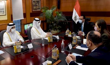 بعد زيادة حجم الاستثمارات.. كيف توددت قطر لمصر خلال العام الجاري؟