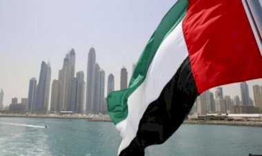 مساعد وزير الخارجية الأمريكي السابق: الإمارات أكثر دول العالم نجاحا سياسيا واقتصاديا