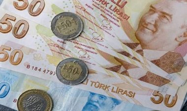 بالإجراءات الضعيفة.. هل تتعمد حكومة أردوغان إغراق الليرة أمام الدولار