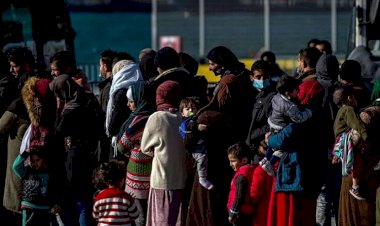 انتهاكات الجندرما.. قتل وتعذيب سوريين على الحدود التركية