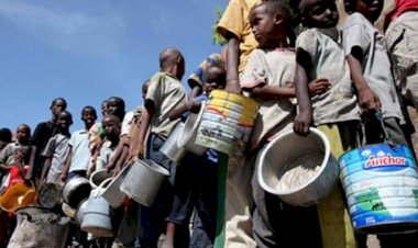 مخاوف من مجاعة تهدد إفريقيا.. كيف أثرت الحرب