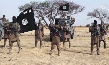 هل تصبح التنظيمات الإرهابية طرفًا في الحرب الروسية – الأوكرانية؟.. خبراء يجيبون