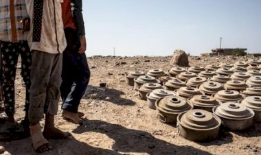 الألغام الأرضية تكشف نهج الحوثيين الوحشي لاستهداف النساء والأطفال