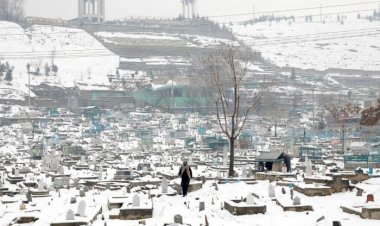 البرد القارس يقتل عشرات الأفغان ويُجمد آلاف الماشية بسبب تعنُّت طالبان