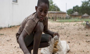 الغِذَاء العالميّ: سَرِقة 14 مليون دولار من المُنتَجات الغذائية في السودان