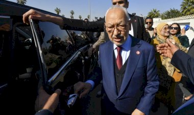 محلل سياسي: النهضة انتهت للأبد ومحاولاتها لتدويل القضية باءت بالفشل