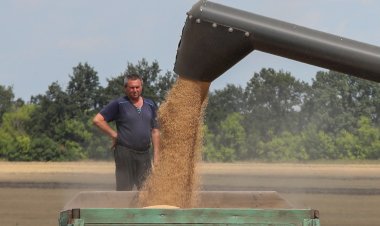 كيف يساهم الخليج في حل أزمة الحبوب بعد انسحاب روسيا من الاتفاقية؟