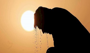 بعد تفاقُم الأزمة.. الإمارات تقود جهودًا دولية لمواجهة تغيرات المناخ