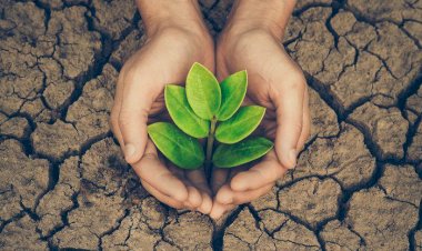 كوارث عابرة للحدود.. تفاقُم الأزمة الروسية الأوكرانية يهدد النظام البيئي العالمي